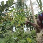 Keajaiban di Tengah Bencana, Bayi 9 Bulan Selamat Setelah Terlempar 50 Meter