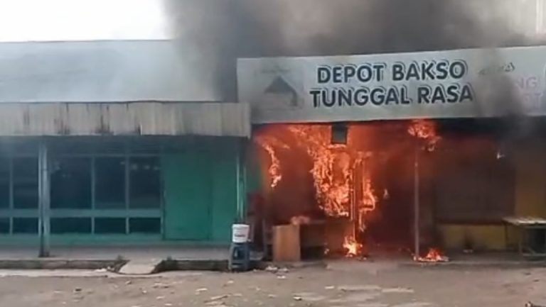 WhatsApp Image 2025-11-21 at 17.31.00