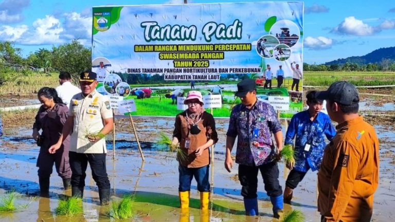 DPKP Kalsel Fokus Kuatkan Pangan Lewat Tujuh Program Prioritas 2026