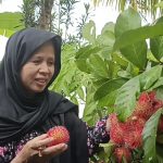 WhatsApp Image 2026-01-01 at 21.39.35