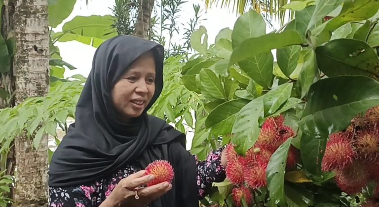 WhatsApp Image 2026-01-01 at 21.39.35